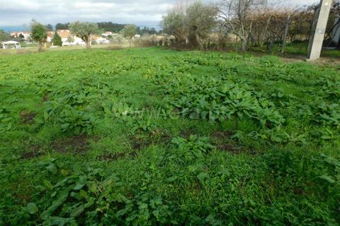 Helårsgrund i Gouveia, Guarda, Gouveia - € 60.000 | Ref: 382230031 - foto 2