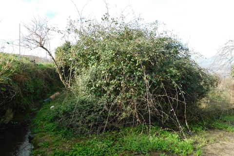 Helårsgrund i Gouveia, Guarda, Gouveia - € 60.000 | Ref: 382230031 - foto 5