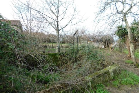 Helårsgrund i Gouveia, Guarda, Gouveia - € 60.000 | Ref: 382230031 - foto 6