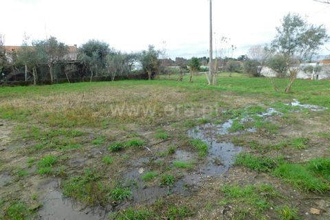 Helårsgrund i Gouveia, Guarda, Gouveia - € 60.000 | Ref: 382230031 - foto 10