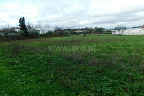 Helårsgrund i Gouveia, Guarda, Gouveia - € 60.000 | Ref: 382230031 - foto 11