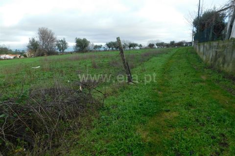 Helårsgrund i Gouveia, Guarda, Gouveia - € 60.000 | Ref: 382230031 - foto 12