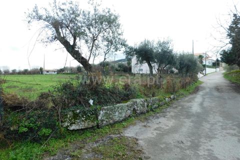 Helårsgrund i Gouveia, Guarda, Gouveia - € 60.000 | Ref: 382230031 - foto 14