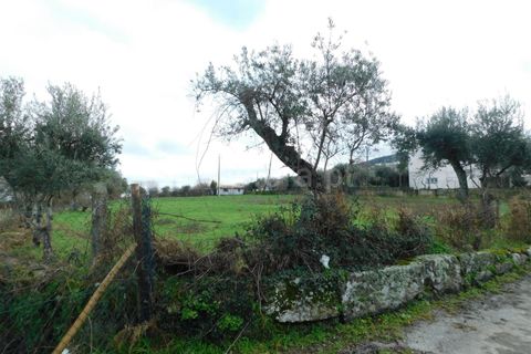Helårsgrund i Gouveia, Guarda, Gouveia - € 60.000 | Ref: 382230031 - foto 15