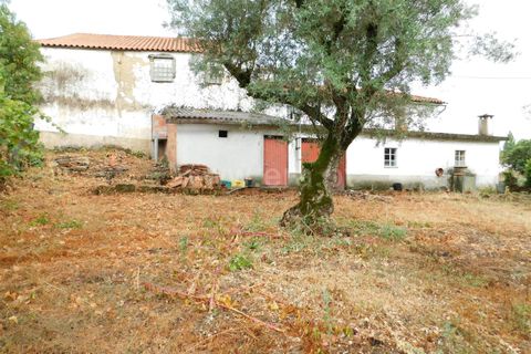 Villa i Seia, Guarda, Seia - € 49 000 | Ref: 382230044 - foto 17