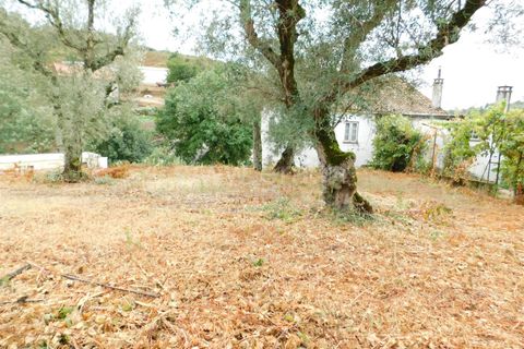 Villa i Seia, Guarda, Seia - € 49 000 | Ref: 382230044 - foto 18