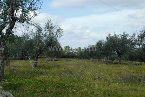 Gård i Seia, Guarda, Seia - € 150 000 | Ref: 382230045 - foto 6