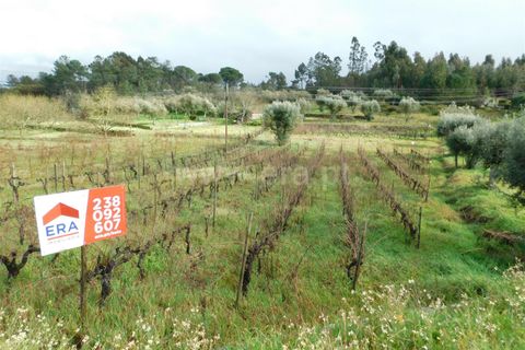 Helårsgrund i Gouveia, Guarda, Gouveia - € 22.500 | Ref: 382230051 - foto 3