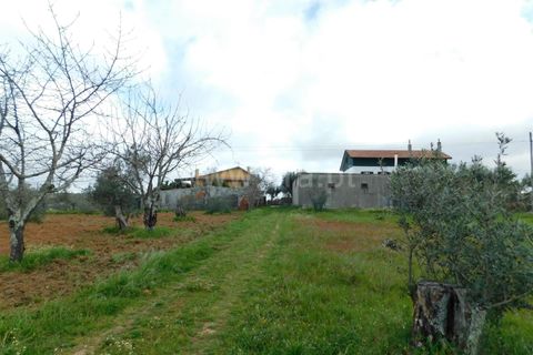 Tomt i Seia, Guarda, Seia - € 37 000 | Ref: 382230068 - foto 2