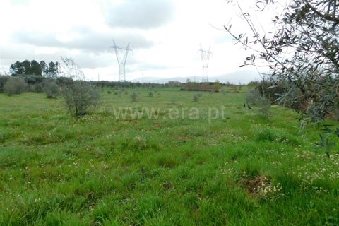 Tomt i Seia, Guarda, Seia - € 37 000 | Ref: 382230068 - foto 3