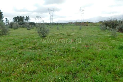 Tomt i Seia, Guarda, Seia - € 37 000 | Ref: 382230068 - foto 4