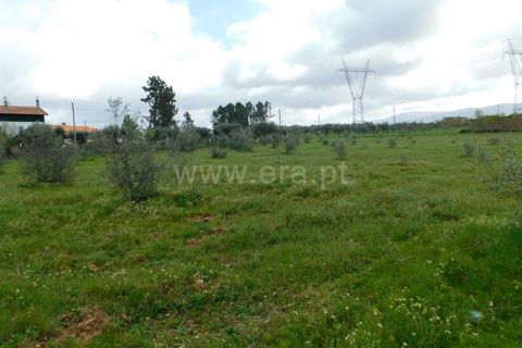 Tomt i Seia, Guarda, Seia - € 37 000 | Ref: 382230068 - foto 5