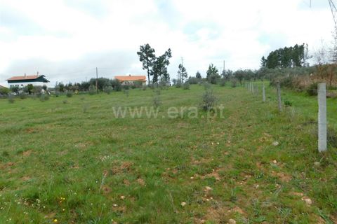 Tomt i Seia, Guarda, Seia - € 37 000 | Ref: 382230068 - foto 6