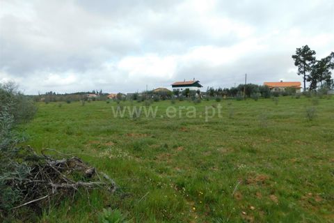 Tomt i Seia, Guarda, Seia - € 37 000 | Ref: 382230068 - foto 7