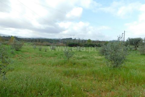 Tomt i Seia, Guarda, Seia - € 37 000 | Ref: 382230068 - foto 10