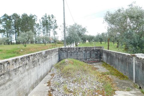 Tomt i Seia, Guarda, Seia - € 37 000 | Ref: 382230068 - foto 12