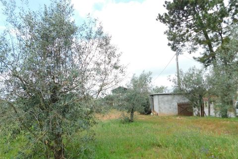 Tomt i Seia, Guarda, Seia - € 37 000 | Ref: 382230068 - foto 13