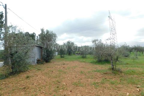 Tomt i Seia, Guarda, Seia - € 37 000 | Ref: 382230068 - foto 14