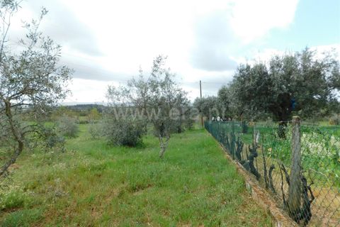 Tomt i Seia, Guarda, Seia - € 37 000 | Ref: 382230068 - foto 15