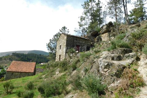 Herregård i Seia, Guarda, Seia - € 28 000 | Ref: 382230072 - foto 9