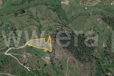 Herregård i Seia, Guarda, Seia - € 28 000 | Ref: 382230072 - foto 14