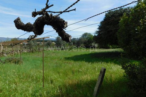Helårsgrund i Gouveia, Guarda, Gouveia - € 27.500 | Ref: 382230081 - foto 3