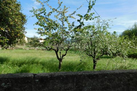 Helårsgrund i Gouveia, Guarda, Gouveia - € 27.500 | Ref: 382230081 - foto 6