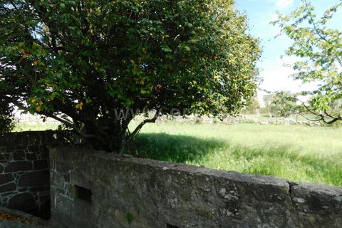 Helårsgrund i Gouveia, Guarda, Gouveia - € 27.500 | Ref: 382230081 - foto 7