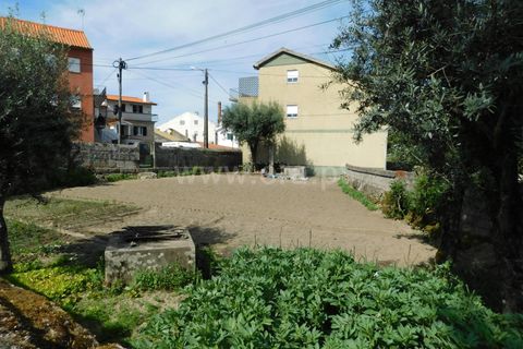 Helårsgrund i Gouveia, Guarda, Gouveia - € 27.500 | Ref: 382230081 - foto 10