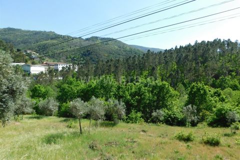Helårsgrund i Seia, Guarda, Seia - € 21.999 | Ref: 382230085 - foto 2