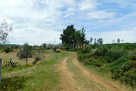 Tomt i Seia, Guarda, Seia - € 15 000 | Ref: 382230088 - foto 2