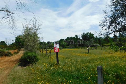 Tomt i Seia, Guarda, Seia - € 15 000 | Ref: 382230088 - foto 3