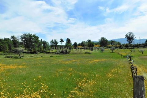 Tomt i Seia, Guarda, Seia - € 15 000 | Ref: 382230088 - foto 4