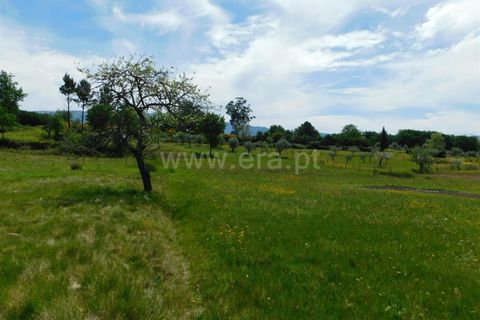 Tomt i Seia, Guarda, Seia - € 15 000 | Ref: 382230088 - foto 5