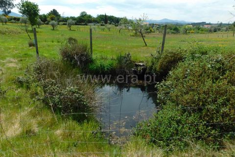 Tomt i Seia, Guarda, Seia - € 15 000 | Ref: 382230088 - foto 6