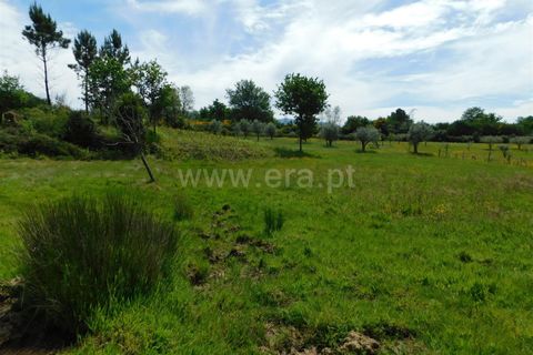 Tomt i Seia, Guarda, Seia - € 15 000 | Ref: 382230088 - foto 7