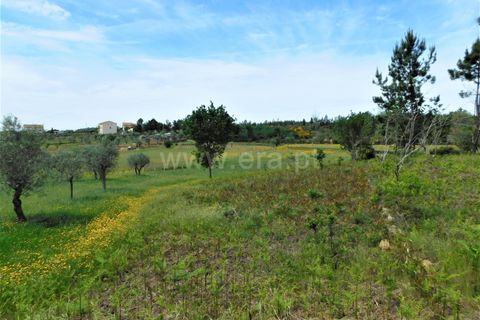 Tomt i Seia, Guarda, Seia - € 15 000 | Ref: 382230088 - foto 8