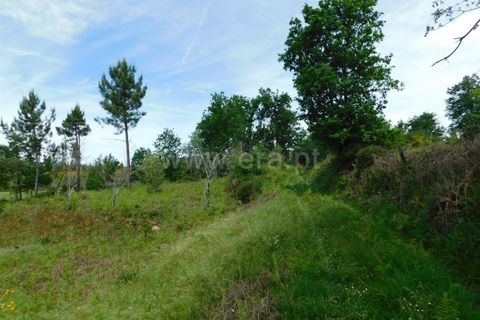 Tomt i Seia, Guarda, Seia - € 15 000 | Ref: 382230088 - foto 9