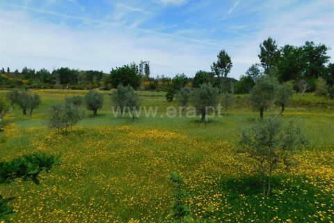 Tomt i Seia, Guarda, Seia - € 15 000 | Ref: 382230088 - foto 10