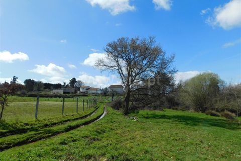 Tomt i Seia, Guarda, Seia - € 15 000 | Ref: 382230088 - foto 13