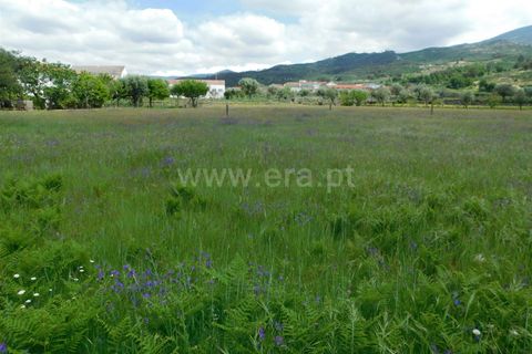 Tomt i Seia, Guarda, Seia - € 35 000 | Ref: 382230089 - foto 3