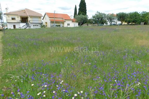 Tomt i Seia, Guarda, Seia - € 35 000 | Ref: 382230089 - foto 4