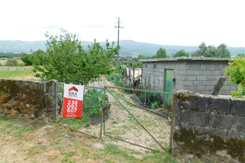 Helårsgrund i Seia, Guarda, Seia - € 18.000 | Ref: 382230091 - foto 3