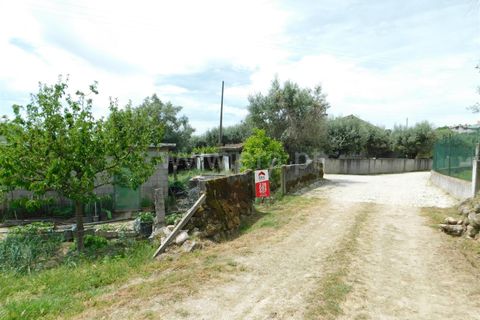 Helårsgrund i Seia, Guarda, Seia - € 18.000 | Ref: 382230091 - foto 5