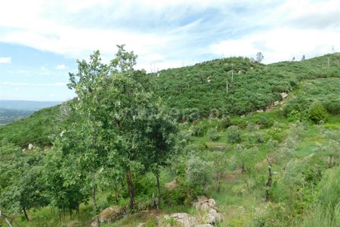 Landejendom i Seia, Guarda, Seia - € 37.000 | Ref: 382230093 - foto 6