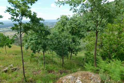 Landejendom i Seia, Guarda, Seia - € 37.000 | Ref: 382230093 - foto 8