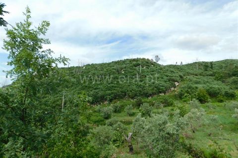 Landejendom i Seia, Guarda, Seia - € 37.000 | Ref: 382230093 - foto 9