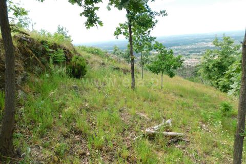 Landejendom i Seia, Guarda, Seia - € 37.000 | Ref: 382230093 - foto 10