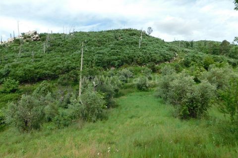 Landejendom i Seia, Guarda, Seia - € 37.000 | Ref: 382230093 - foto 11