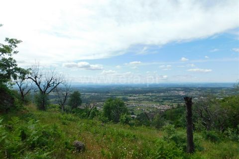 Landejendom i Seia, Guarda, Seia - € 37.000 | Ref: 382230093 - foto 12